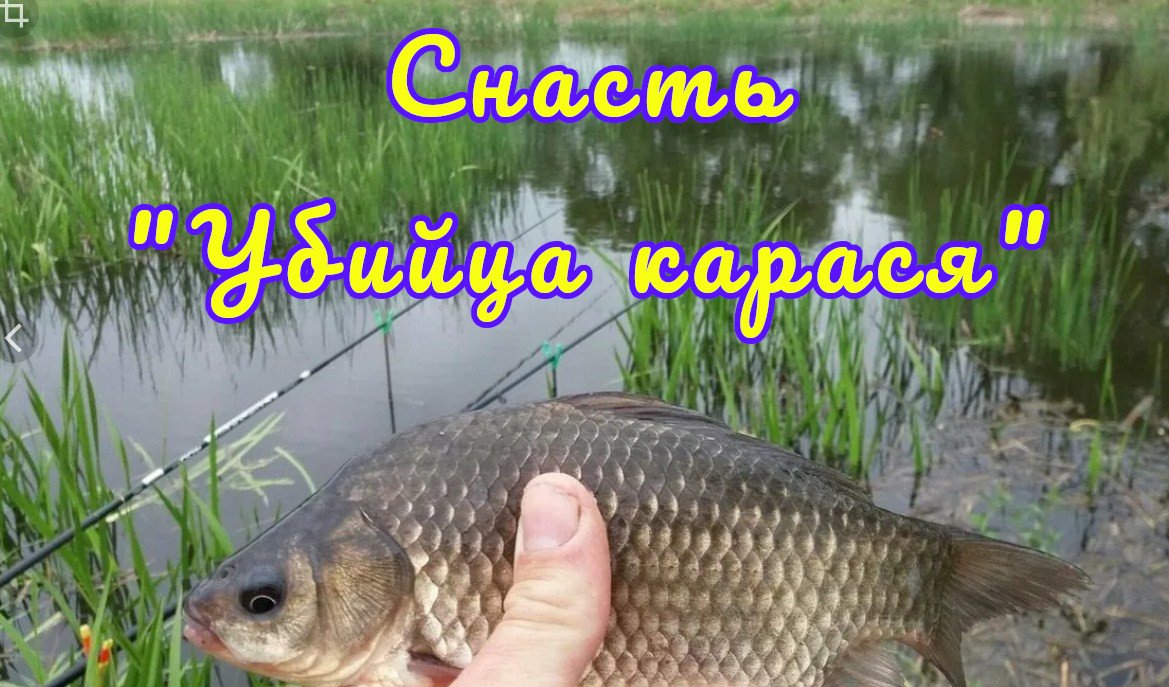 Эта снасть уловистая, чем "убийца карася". Показываю монтаж уловистой оснастки на карася