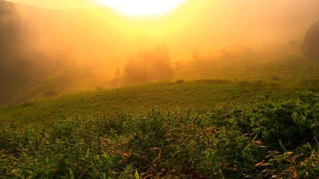 Владыки и их обители, ч. 7. Альфа и Омега