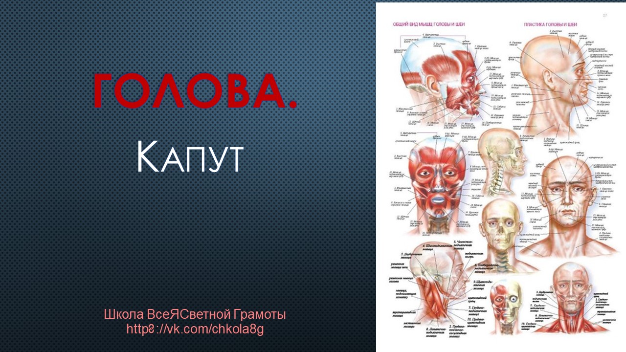 Голова (Капут)