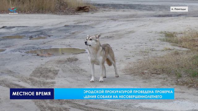 Право и закон (30.05.24)