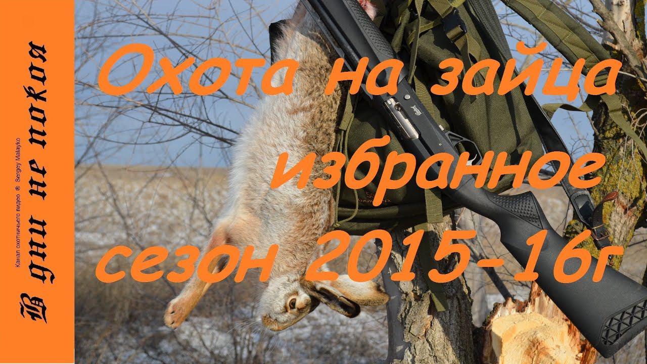 Охота на зайца. Сезон 2015-16. Избранное. 18+