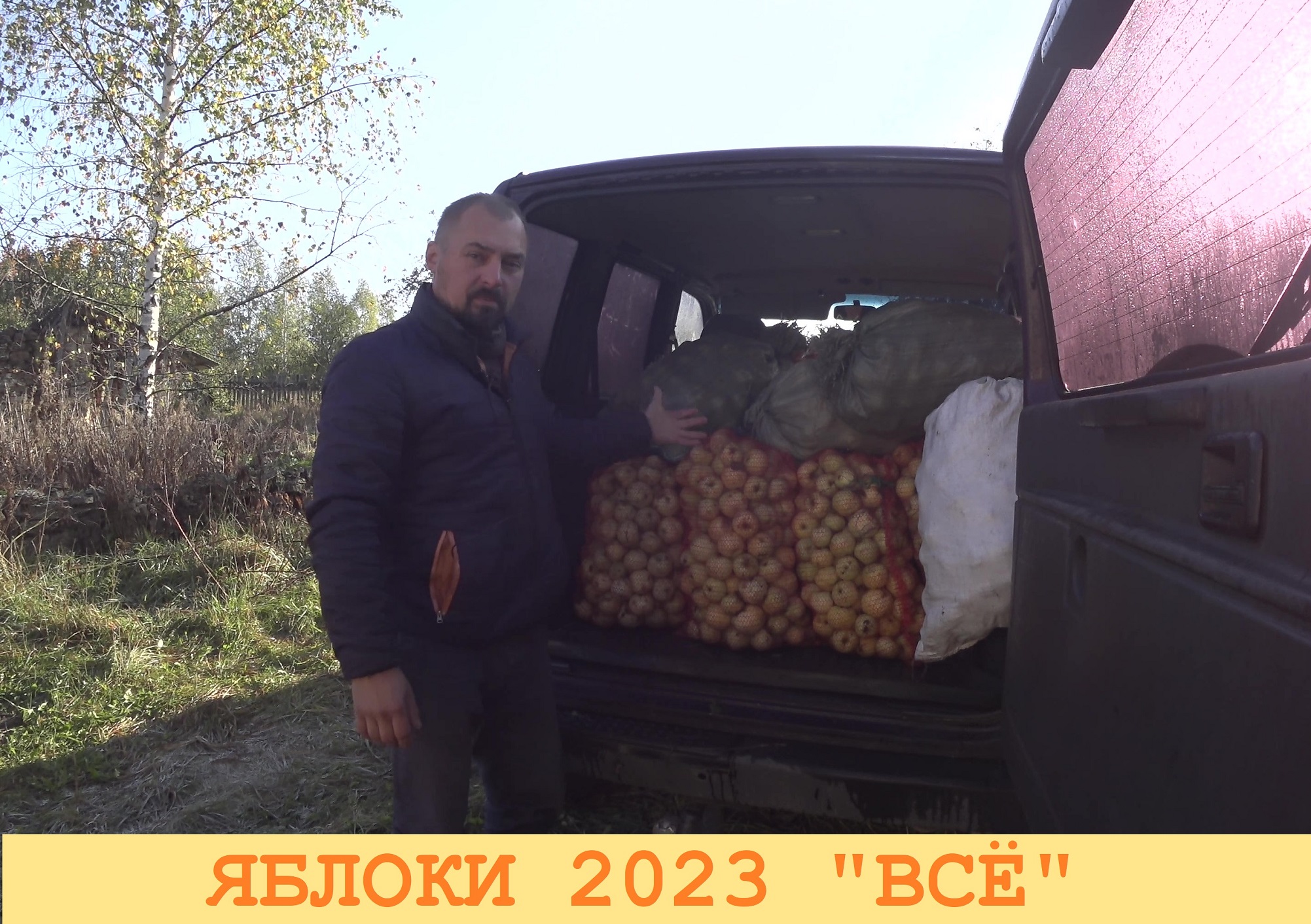 2023 Октябрь. Завершение сбора яблок. Плюс завершение подкормки сада.