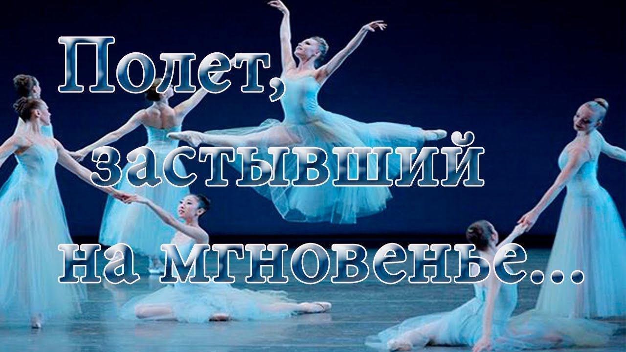 Полет, застывший на мгновенье*