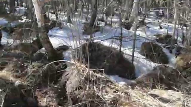 Вспомогательные способы ориентирования. Часть 10