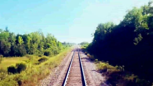 Путешествие на поезде(Задний вид)