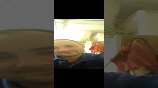 Скандальная новость #шутка #юмор #прикол #смех #забава #анекдот #новость #скандал