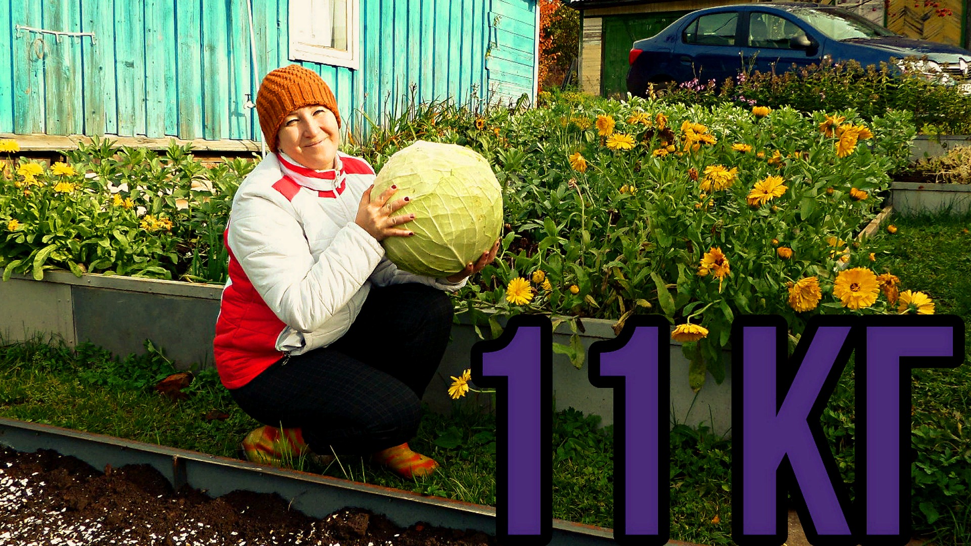 Мегатон и Ринда. Какая капуста тяжелее?