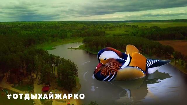 Лето на Амуре. Сезон-2021, Амурская область