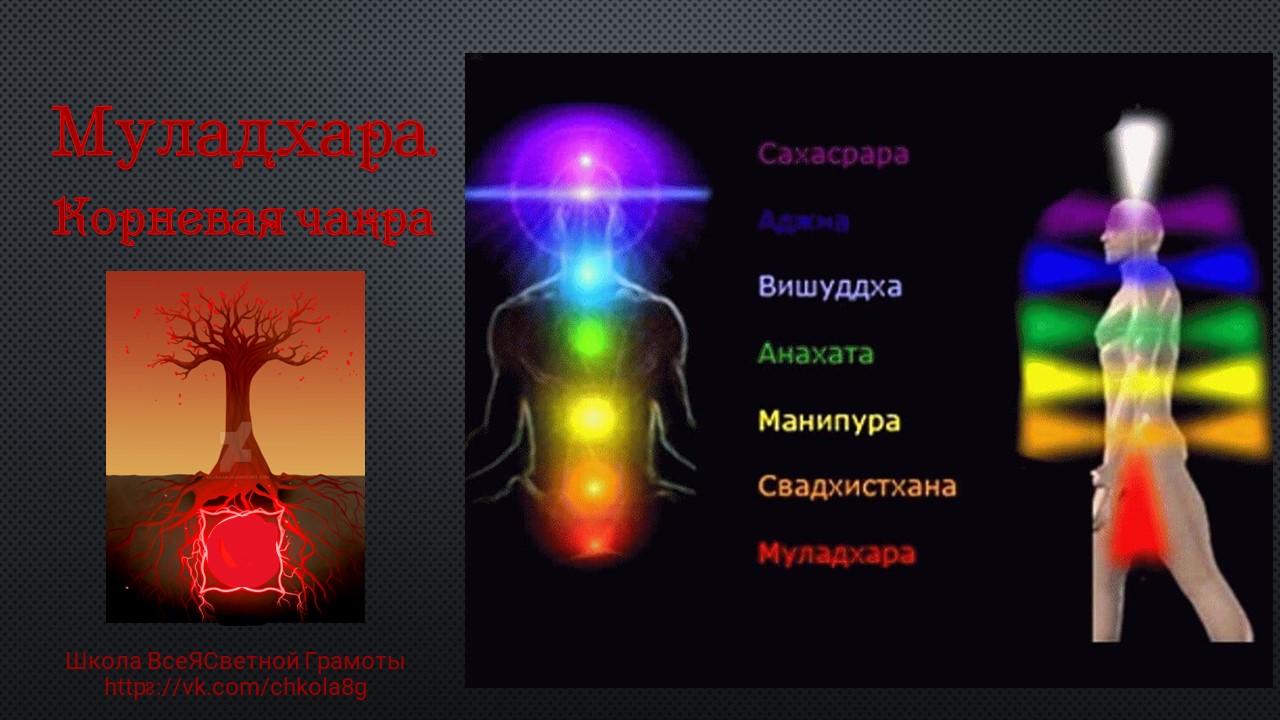 Чакры. Муладхара. ВсеЯСветная Грамота