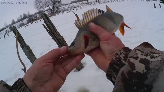 Старый Новый год - опять "залом" погоды! Рыбалка 13-14.01.2023г.