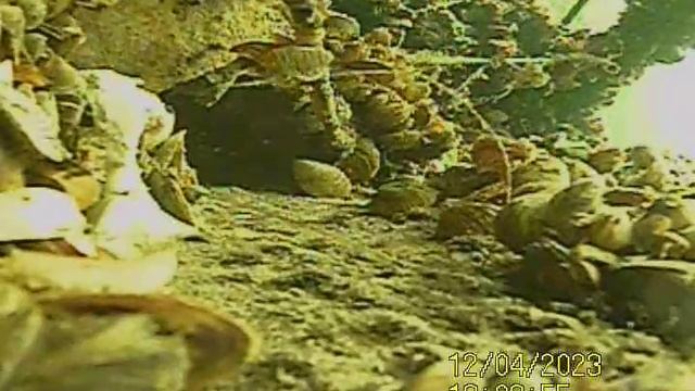 YouCut_20231204_132903139.mp4Волга гл.5м.04.12.2023г.