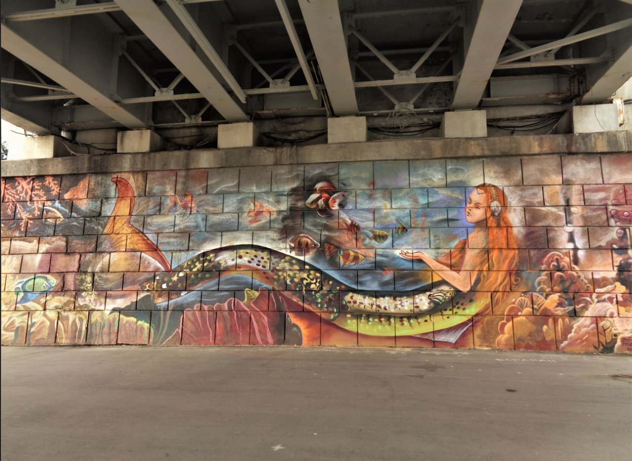 Граффити под мостом Александра Невского в Великом Новгороде. Русалка.mp4