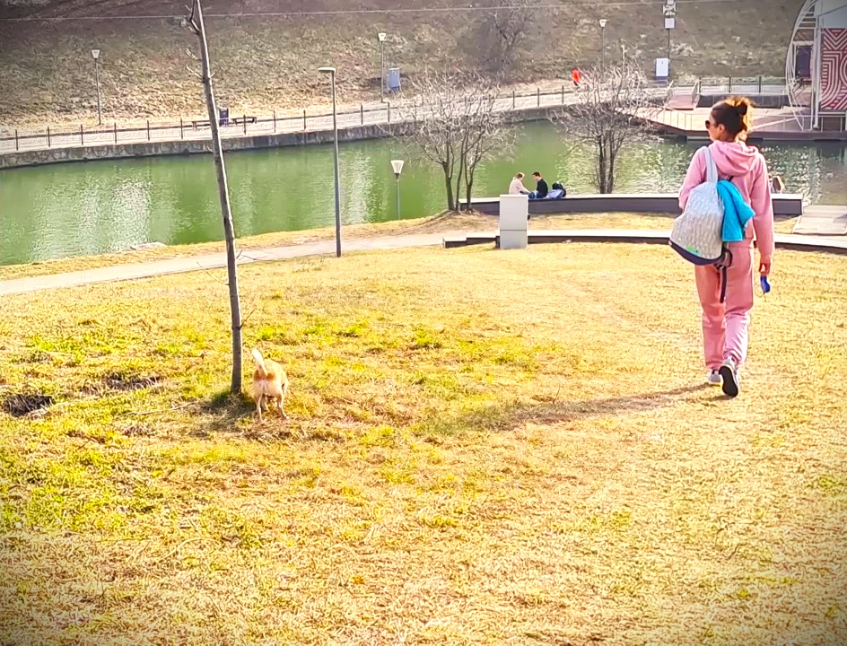 Парк Олимпийская деревня поразил красотой.
Парк в Москве, которому нет равных. Посмотрите сами.