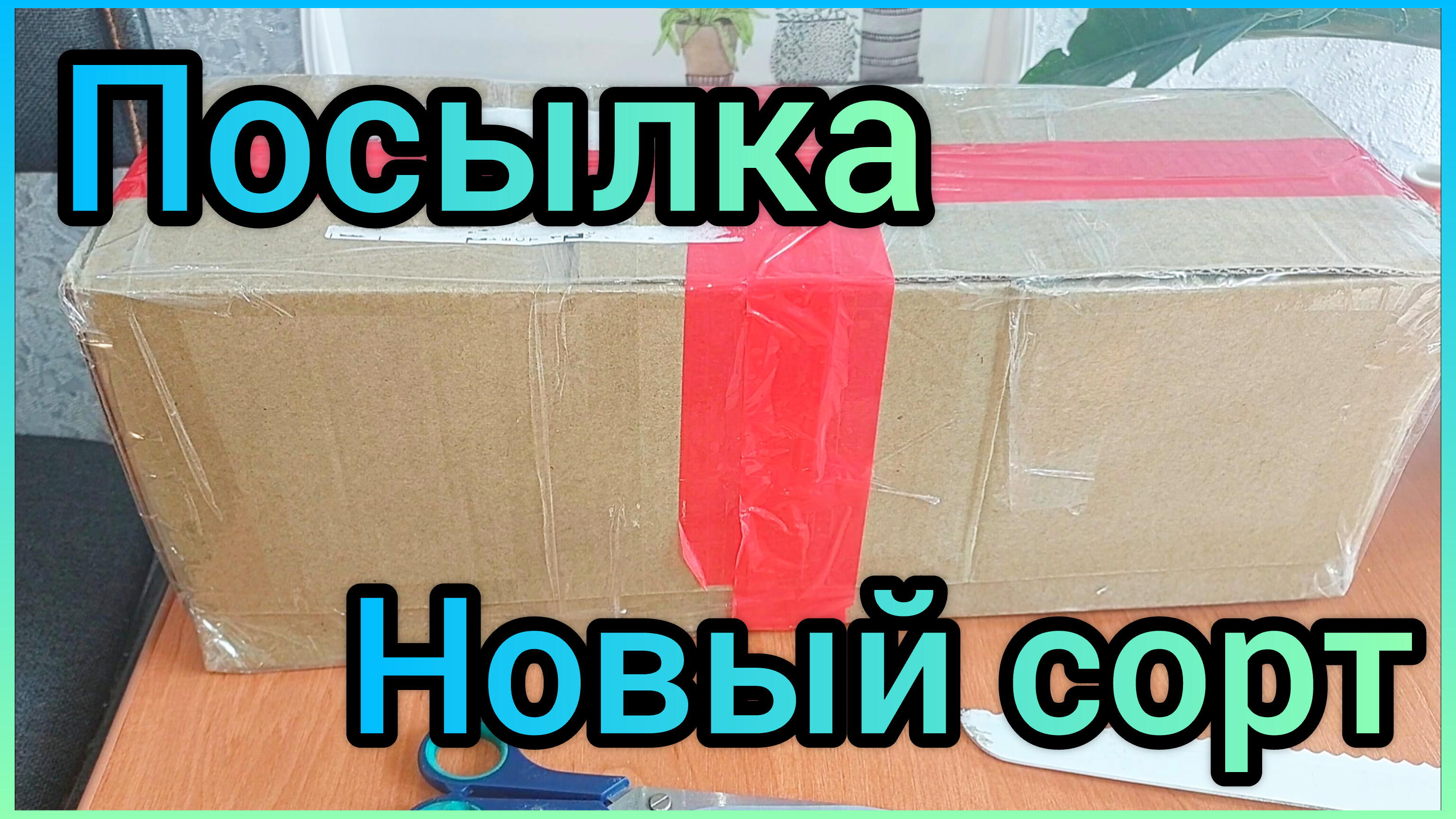 #ПОСЫЛКА ?Не устояла?Новый #сорт ?Неприхотливая #лиана ? #РАСТЕНИЯ #ЦВЕТЫ #распаковка #покупки