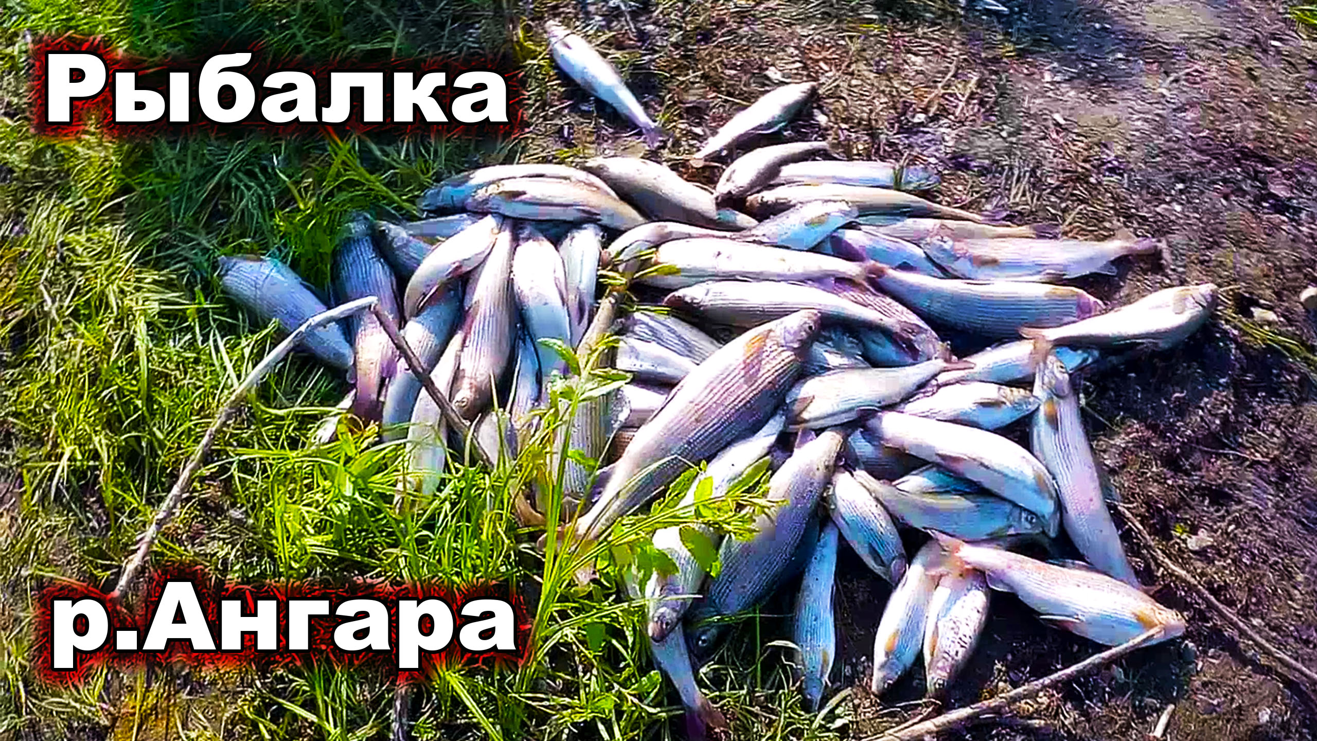 Рыбалка на Ангаре. Открытие сезона