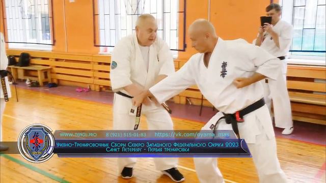 Бункай № 2 Сюто маваси-укэ _ Пинан соно ити _ от шихана Танюшкина А.И. Осенняя школа СЗФО 2023