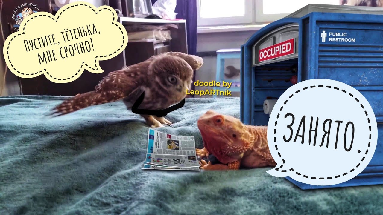 Сыч Лучик смотрит мультик про себя и дракона Блинца от @LeopARTnik