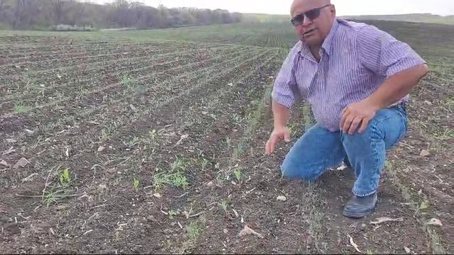 Вести с полей