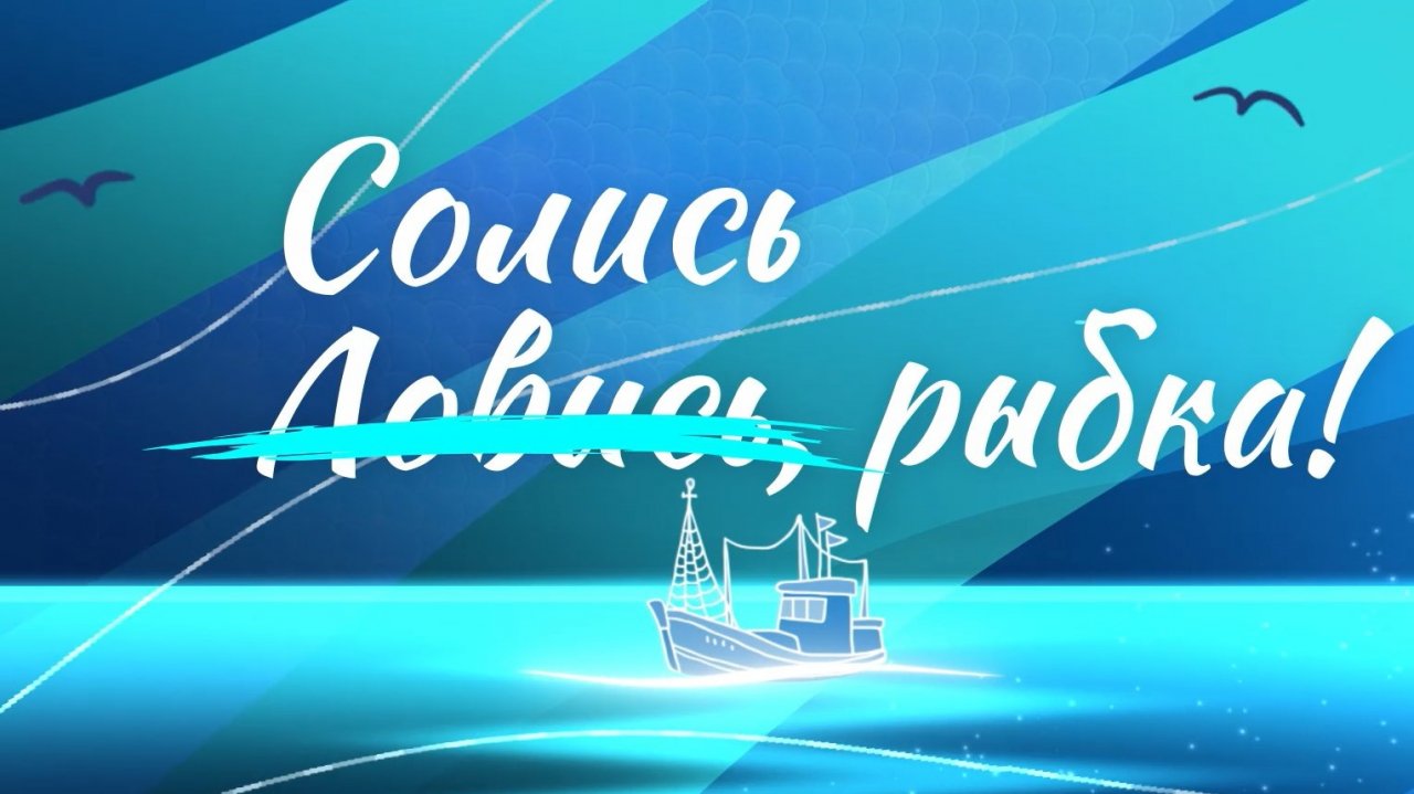 Черноморская хамса: как добывают и солят рыбу в Новороссийске? Специальный репортаж «Солись, рыбка!»