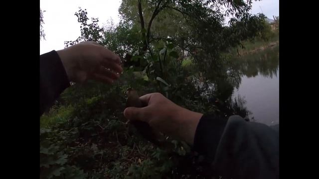 Сентябрьский "ротанинг"(часть 2).mp4