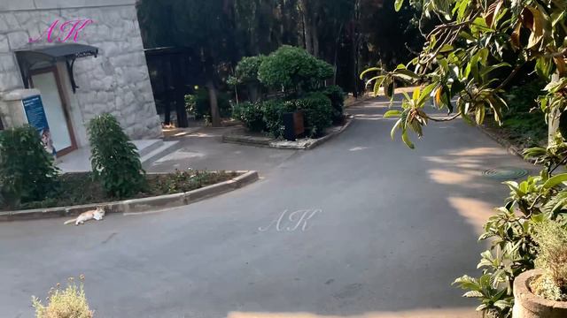 Крым. ЮБК. Гаспра. У нас аномальная жара. Вода в Море 25 градусов. 06.07.24