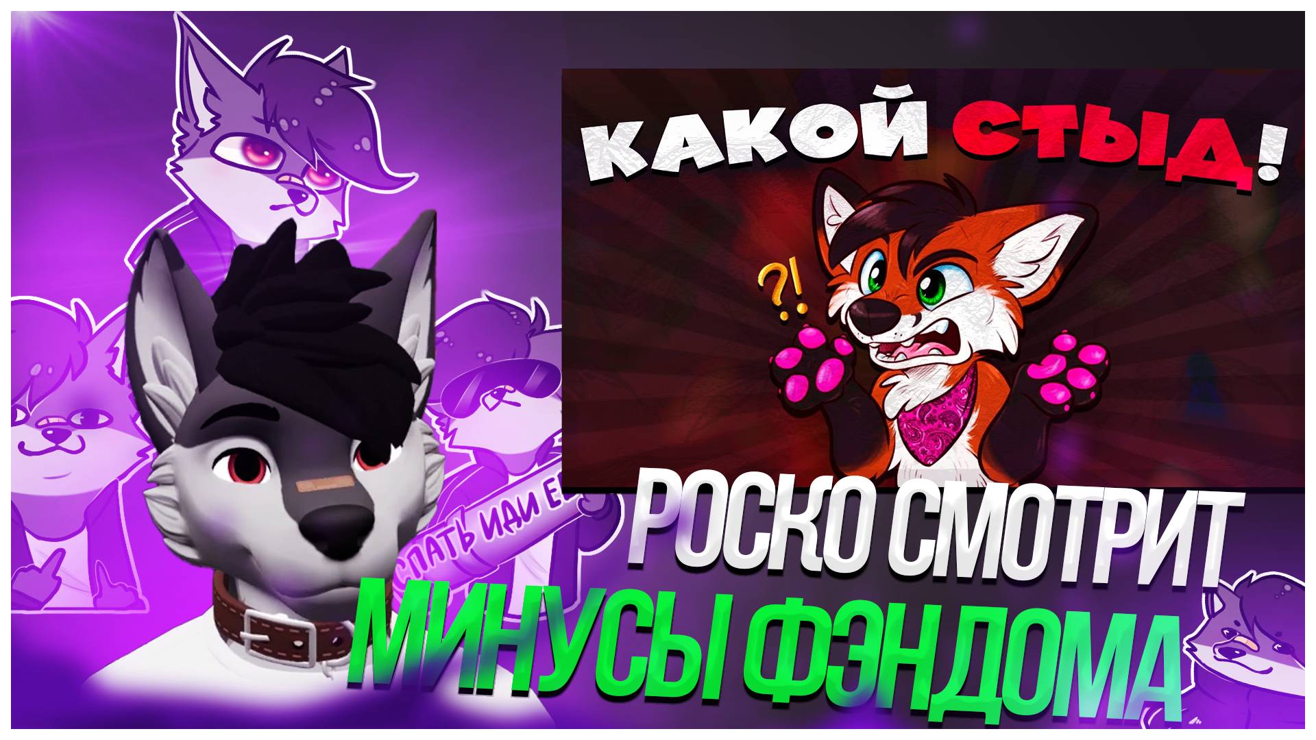 🐺 Роско смотрит Шнапишнафт - МИНУСЫ ФУРРИ ФЭНДОМА