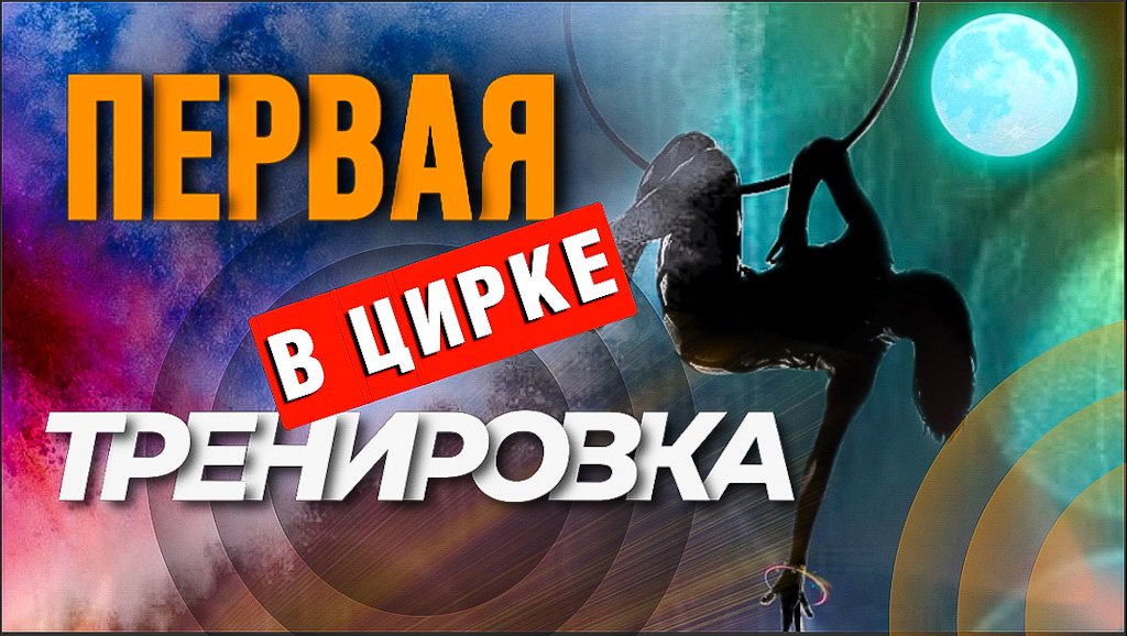 Блогеры в цирке | Шувалова |Шувалова_Life | Алёна Шувалова |s_p0ntom_pod_z0ntom