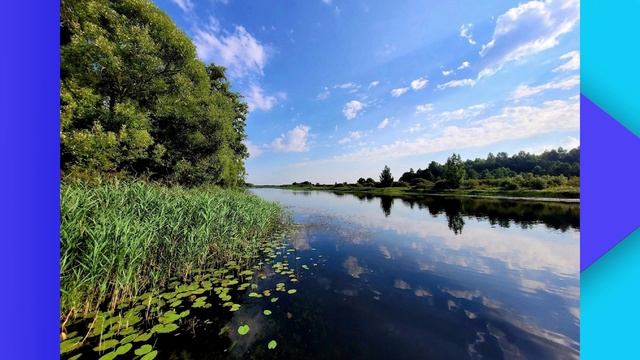 Без галстука 20.10.2023