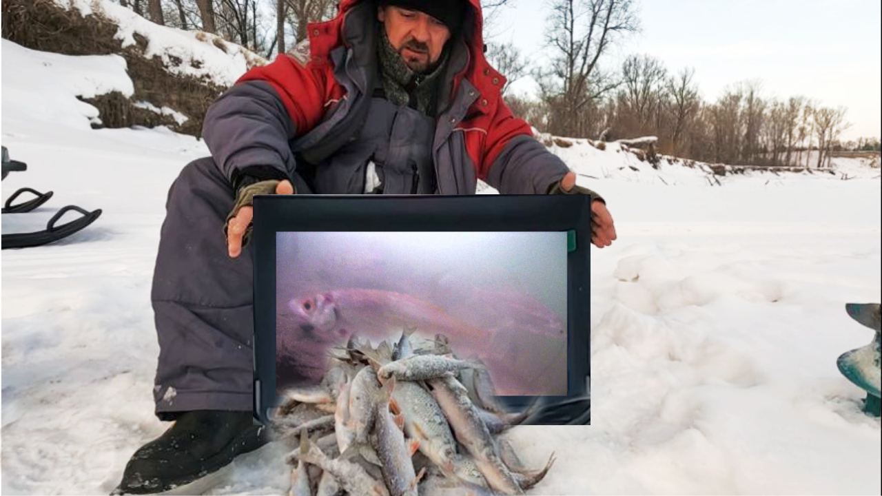 ГЛУХОЗИМЬЕ НА ОБИ ОТМЕНЯЕТСЯ !!! ( Сузун ) 30 января 2024 г. Видеоотчет !!!