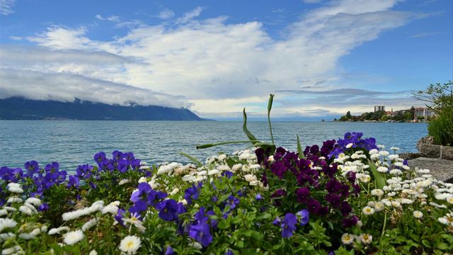 11 сеанс онкология