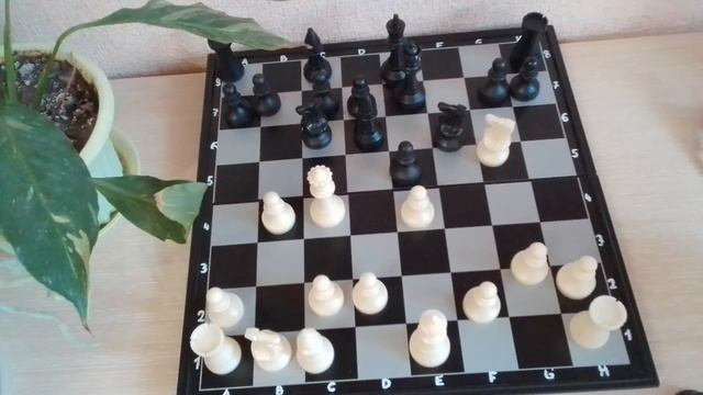 Сильные игроки держат эти ловушки в тайне! Топ 5 ловушек.