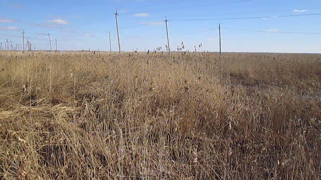 ЛЭП на болоте