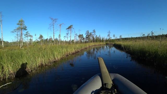 ОХОТА НА УТОК / УДАЧНОЕ УТРО / Открытие охоты на водоплавающую дичь 2022 / Охота в КАРЕЛИИ