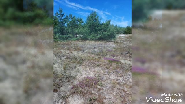 Дюны у Озера Лебедь 2022