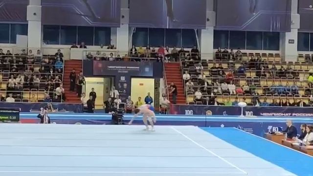 Чемпионат России по спортивной гимнастике