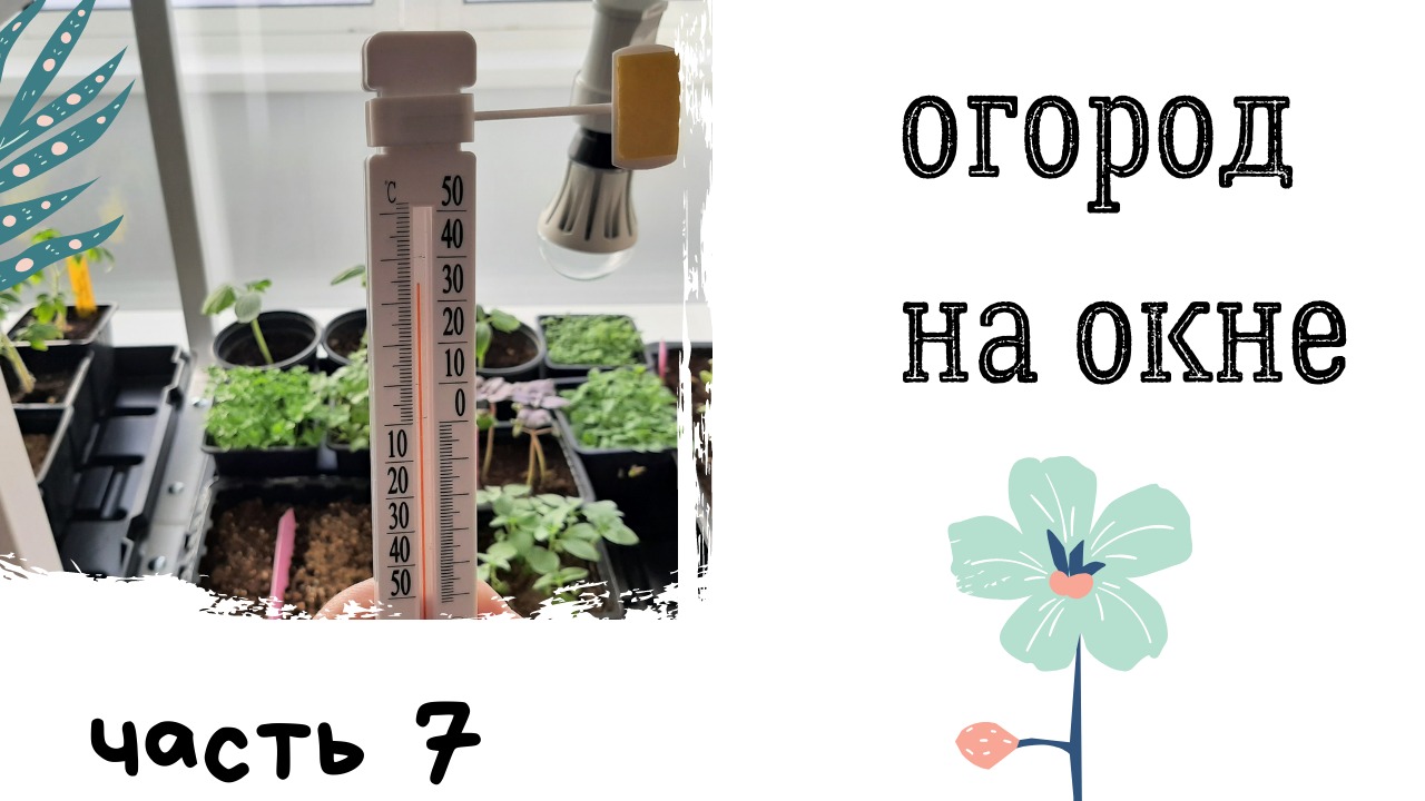 Огород на окне. Часть 7. Агрикола аква. Осмокот.