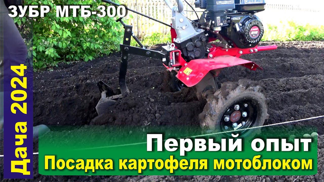 Посадка картофеля под мотоблок в борозды. Первый опыт. Мотоблок ЗУБР МТБ-300 в работе. 25.05.2024