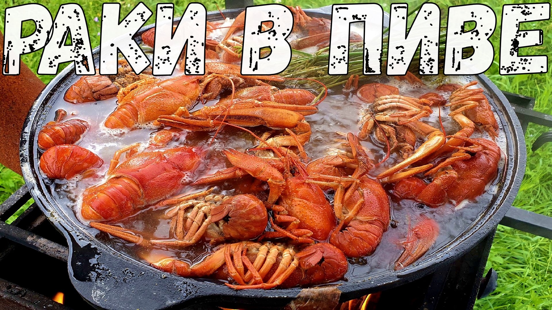 Вареные РАКИ В ПИВЕ. Рецепт раков вареных в казане на костре.