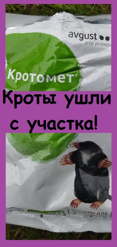 Нашла СРЕДСТВО ОТ КРОТОВ, которое подействовало в первые же сутки!
#дача #огород #garden #сад