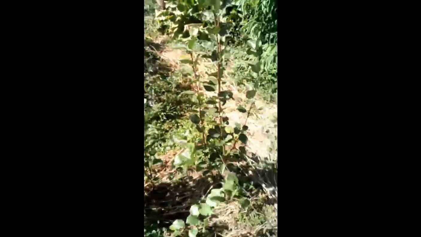 Дежурный по Казахстану - Иван Кириллин с лекцией.