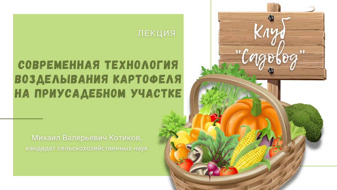 Лекция «Современная технология возделывания картофеля на приусадебном участке»