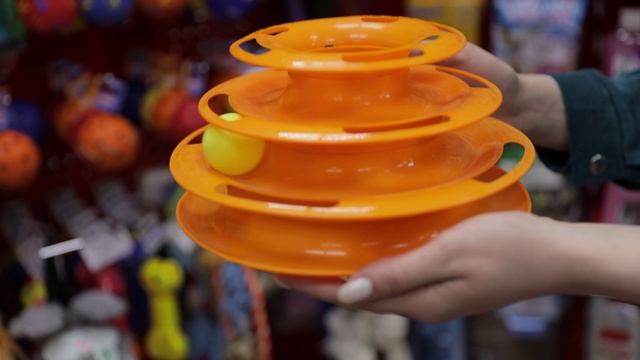 Усы. Лапы. Хвост.Выбираем безопасные игрушки для питомцев.mp4