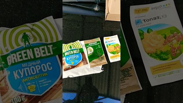 весенняя обработка винограда