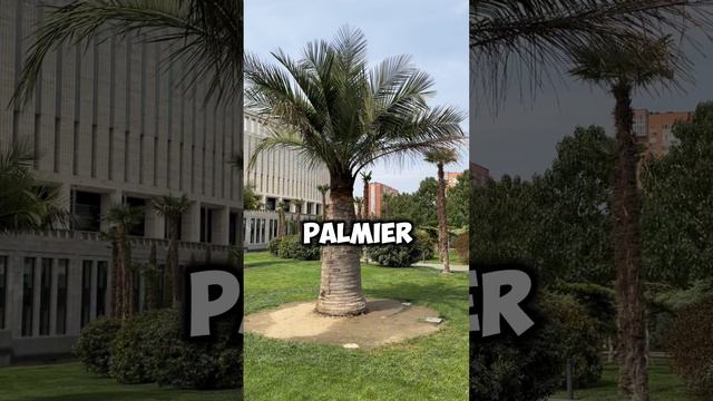 Расскажем о парке