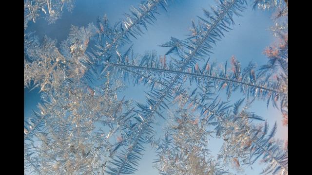 19 настрой на принятие себя, как человека мира