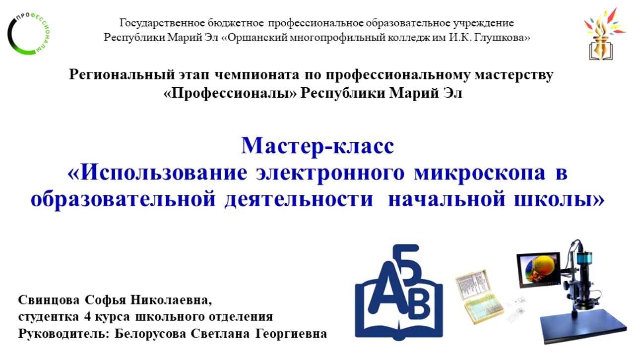 Мастер-класс «Использование электронного микроскопа в образовательной деятельности начальной школы»