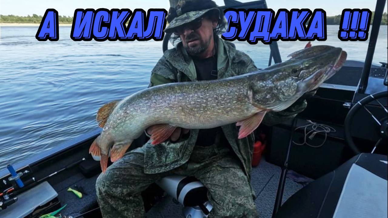 ИСКАЛ СУДАКА , А НАШЕЛ КАК ОБЫЧНО ЩУКУ !!! Рыбалка на Оби 13 августа 2024г.
