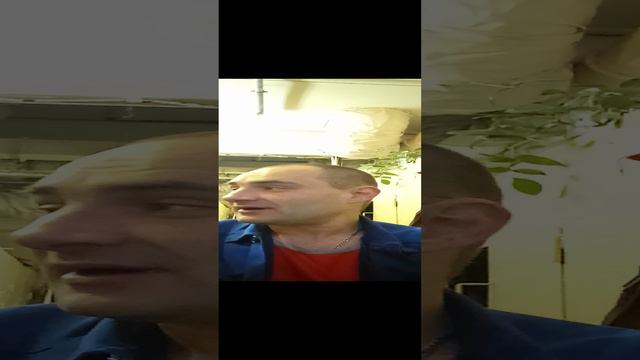 Почему грустит собака... шутка #юмор #прикол #смех #забава #анекдот #грусть #пес