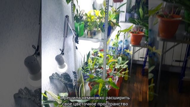 Расширение цветочного пространства?Плюс еще немного места для растений? #цветы #растения #shorts