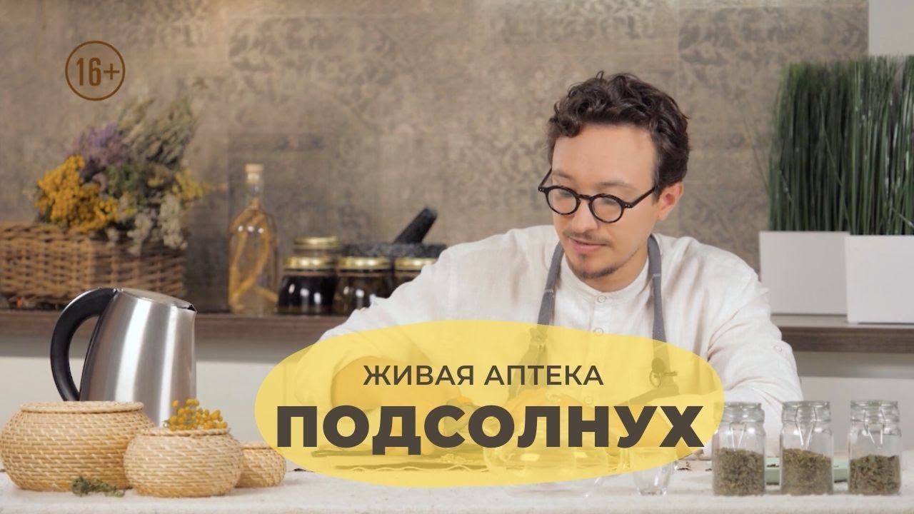Подсолнух // Живая аптека